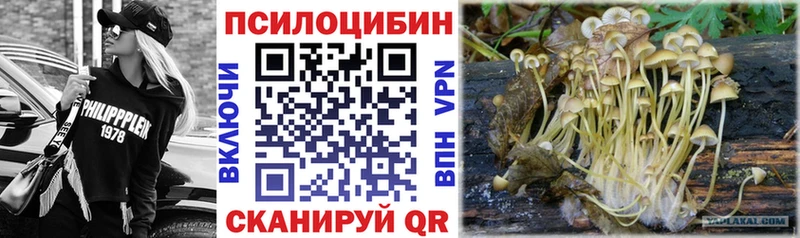 Галлюциногенные грибы прущие грибы Карпинск